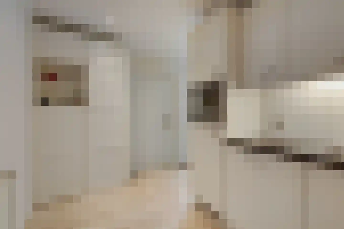 Frans Roesstraat 2 Gaanderen thumbnail 21