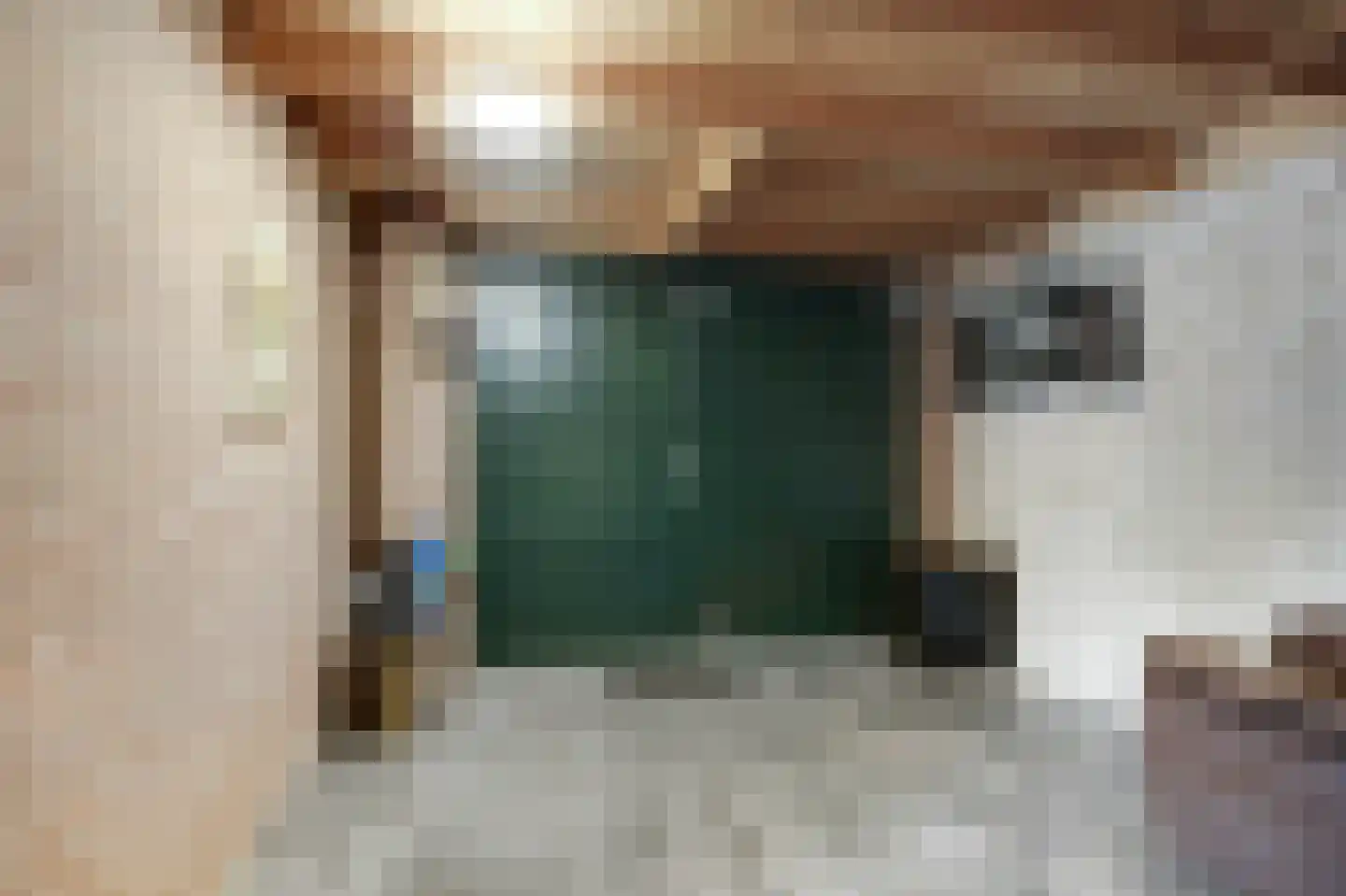 Frans Roesstraat 2 Gaanderen thumbnail 24