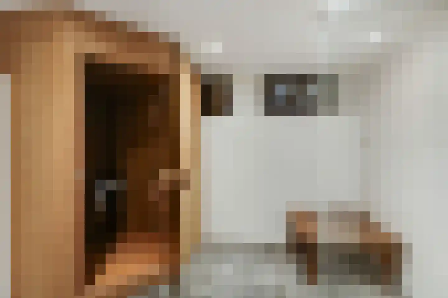 Frans Roesstraat 2 Gaanderen thumbnail 25