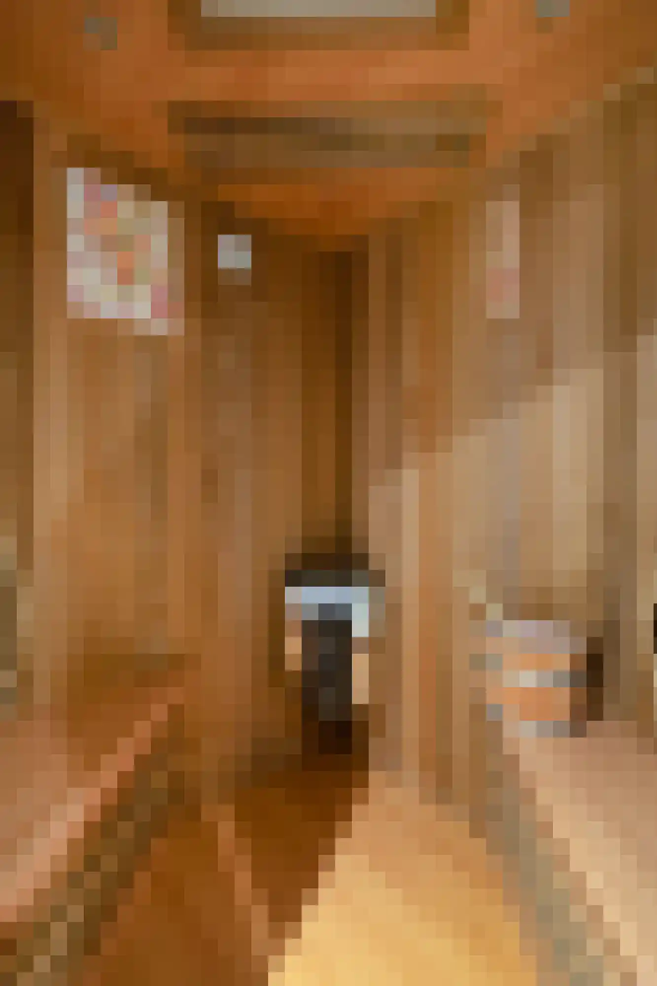 Frans Roesstraat 2 Gaanderen thumbnail 26
