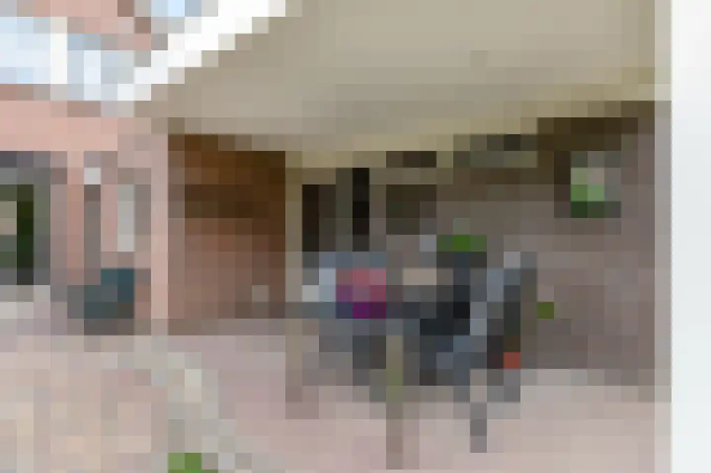 Frans Roesstraat 2 Gaanderen thumbnail 33