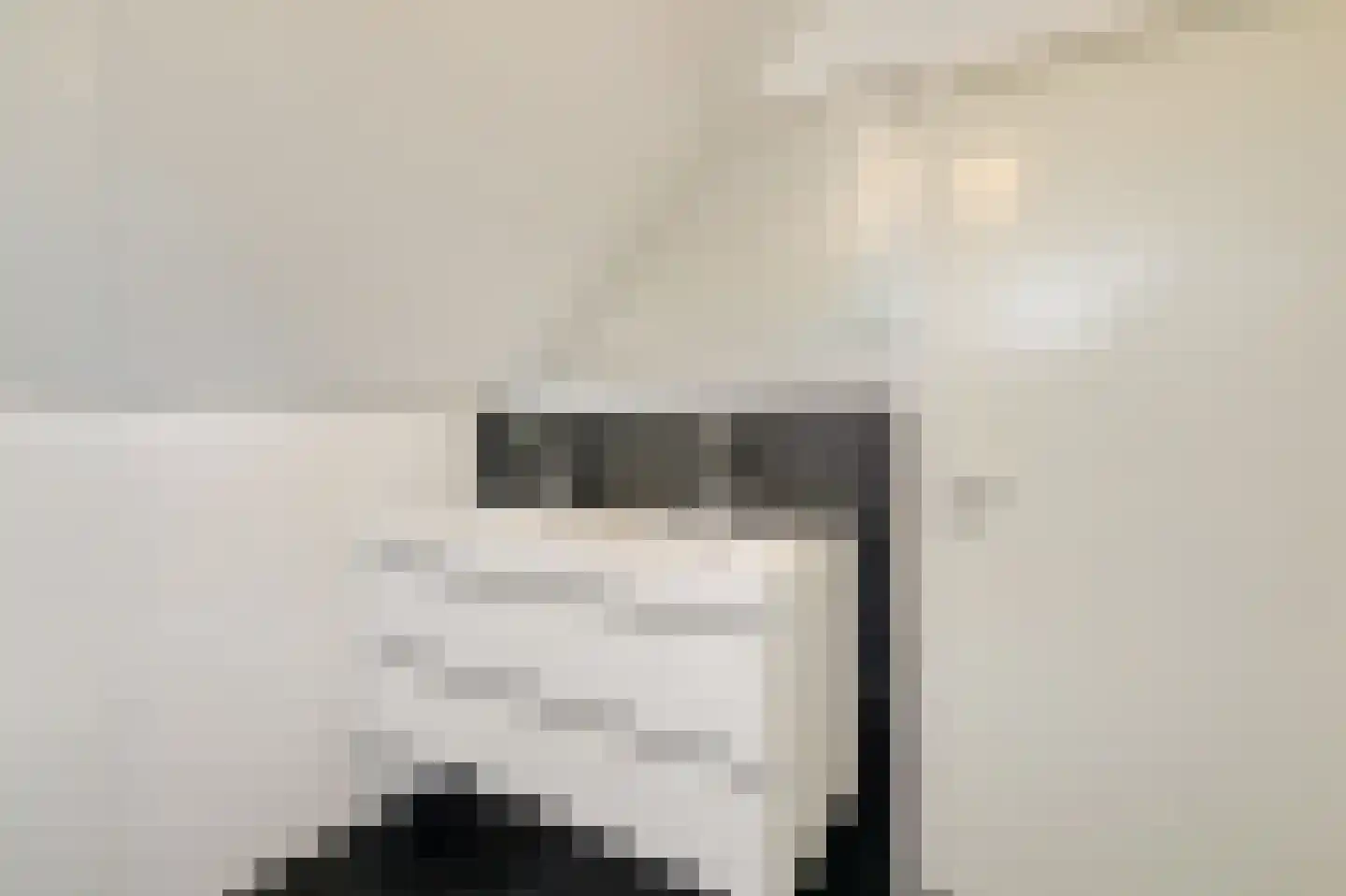 Frans Roesstraat 2 Gaanderen thumbnail 50