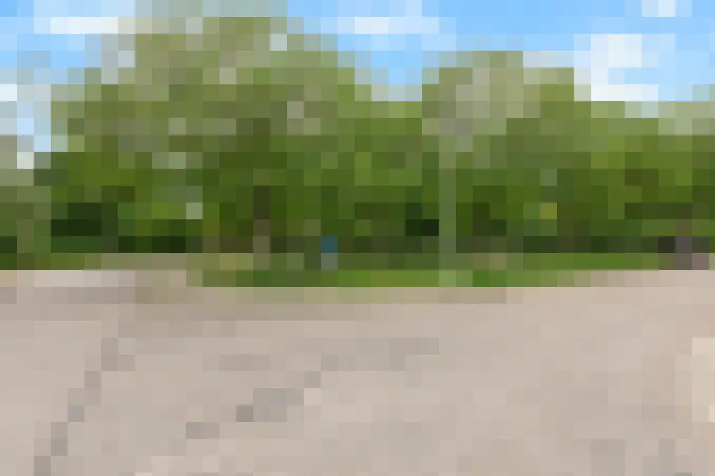 Frans Roesstraat 2 Gaanderen thumbnail 57