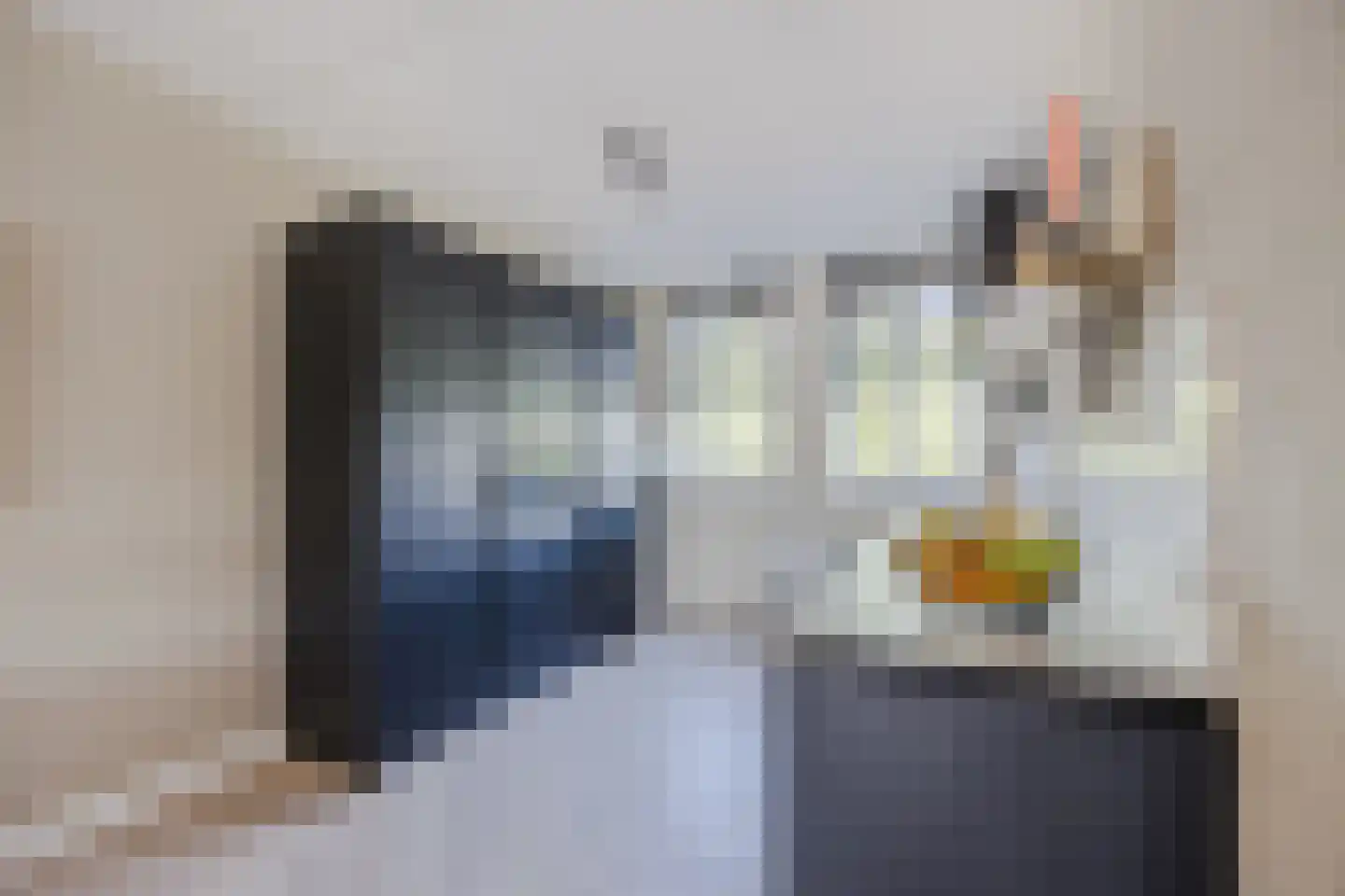 Frans Slaatsstraat 21 Waalwijk thumbnail 12