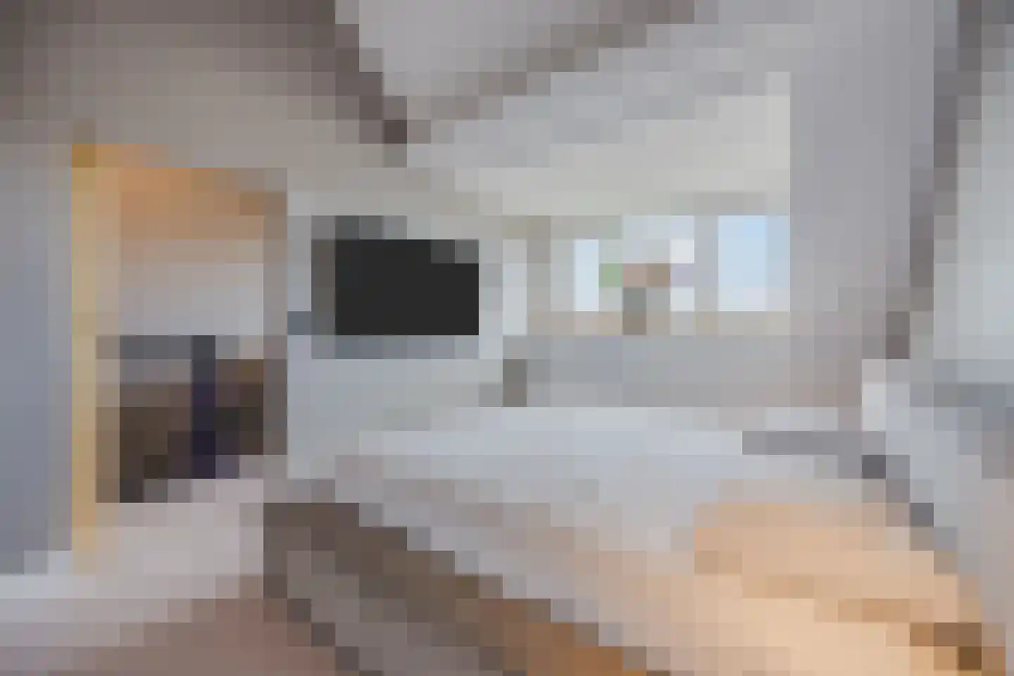 Frans Slaatsstraat 21 Waalwijk thumbnail 30