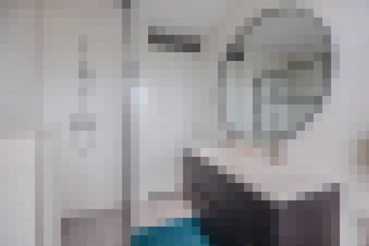 Frans Slaatsstraat 21 Waalwijk thumbnail 4