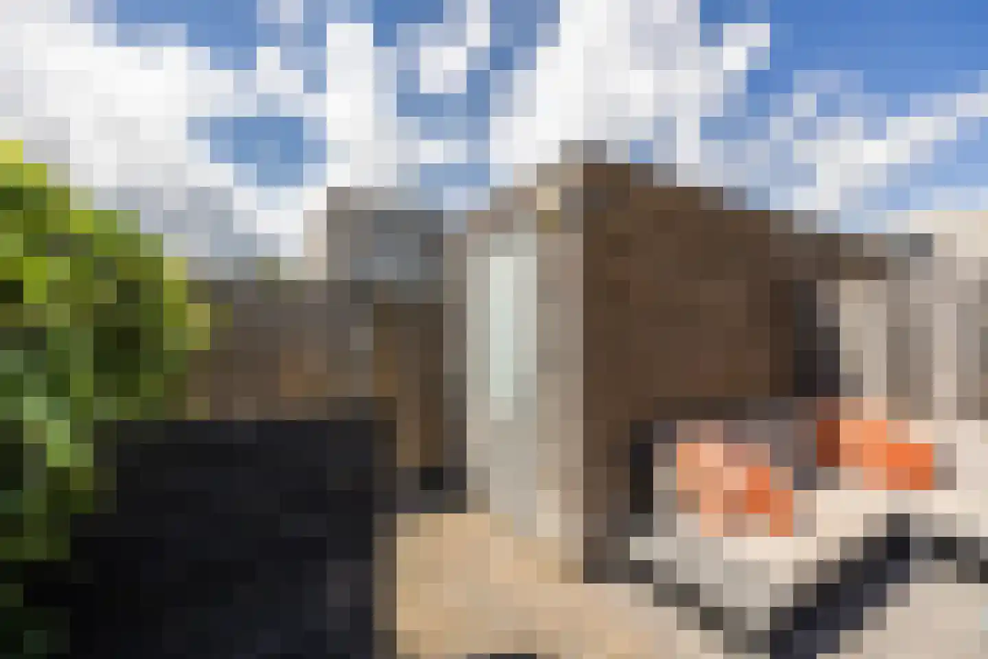 Frans Slaatsstraat 21 Waalwijk thumbnail 40