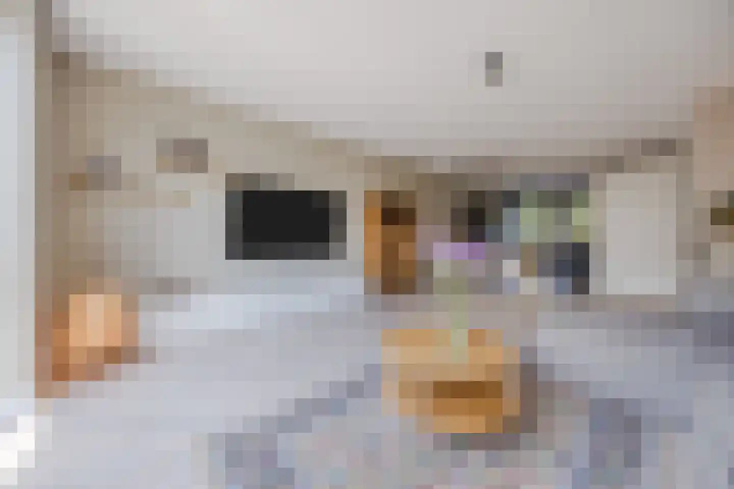 Frans Slaatsstraat 21 Waalwijk thumbnail 7