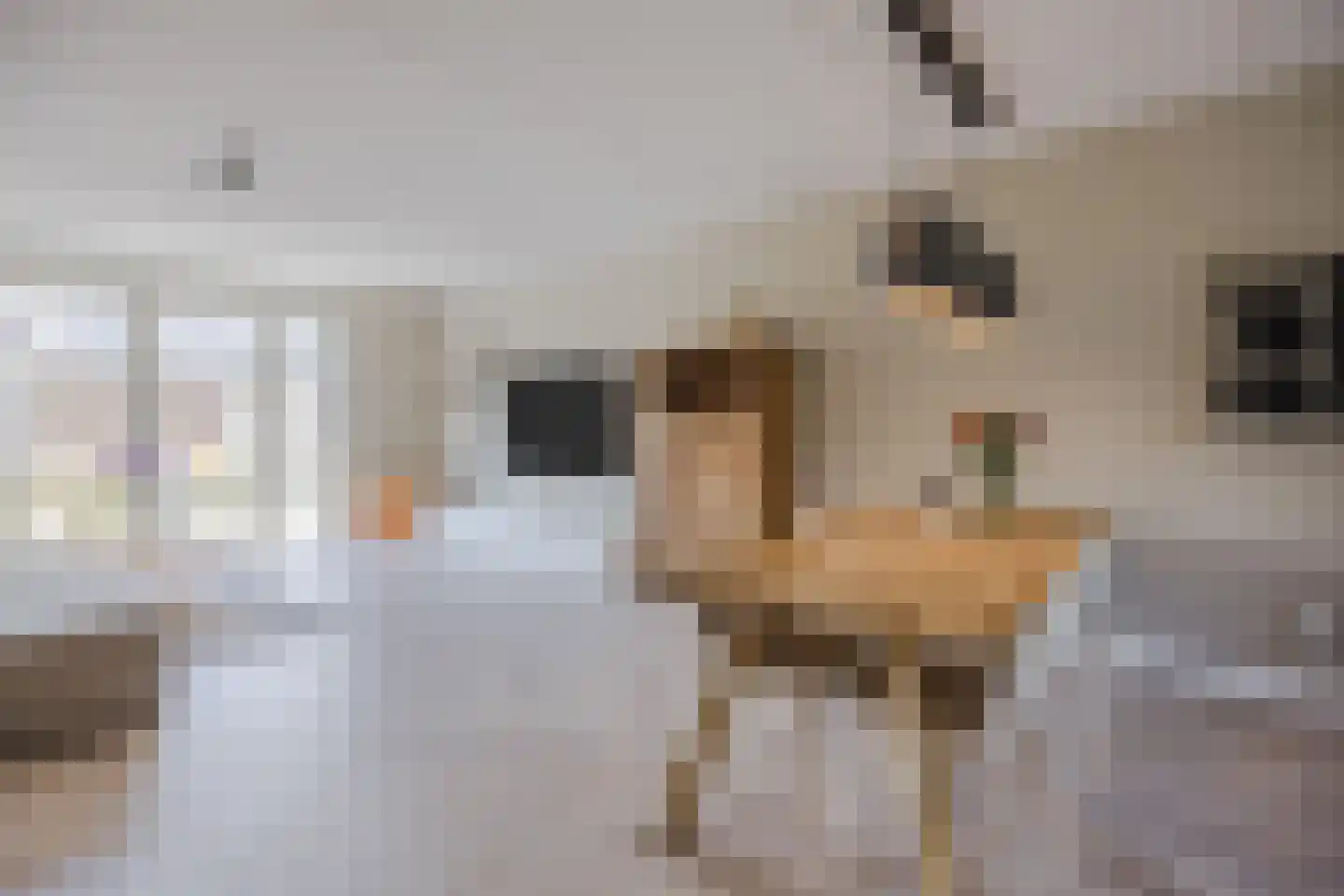 Frans Slaatsstraat 21 Waalwijk thumbnail 9