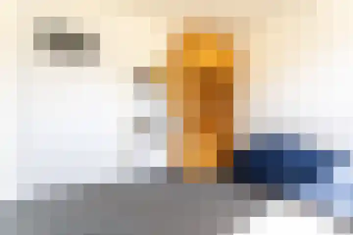 Frans Snijderslaan 19 Eindhoven thumbnail 16