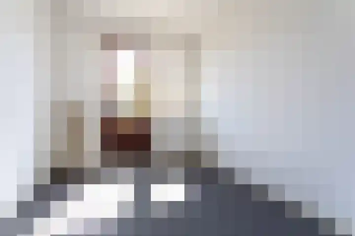Frans Snijderslaan 19 Eindhoven thumbnail 17