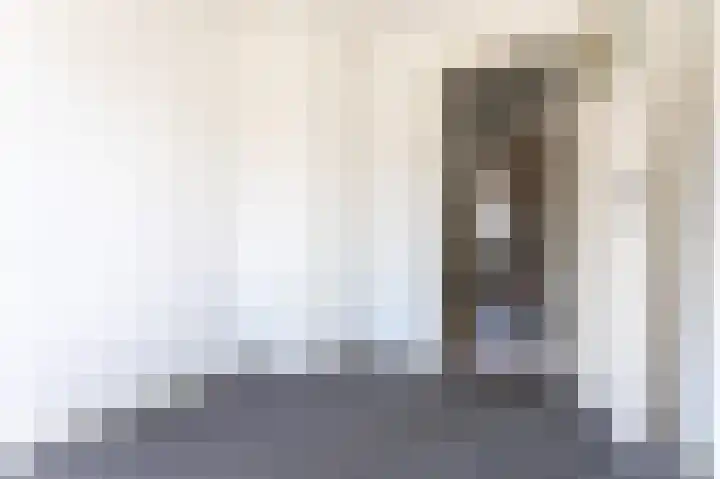 Frans Snijderslaan 19 Eindhoven thumbnail 18