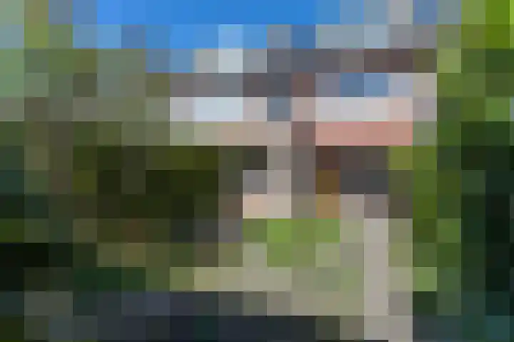 Frans Snijderslaan 19 Eindhoven thumbnail 24