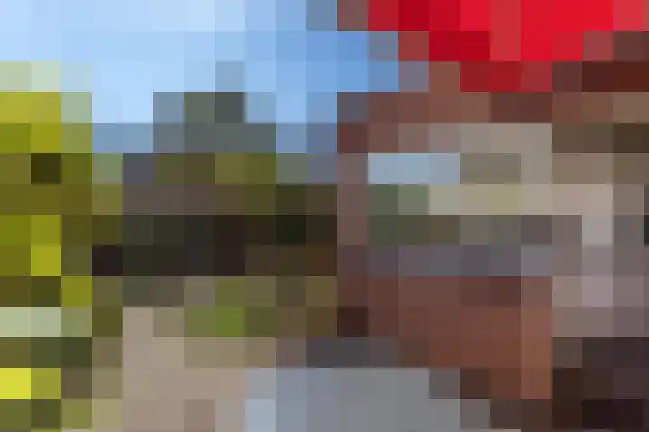 Frans Snijderslaan 19 Eindhoven thumbnail 25