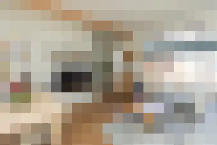 Frans Spiekmanstraat 55 Veendam thumbnail 5