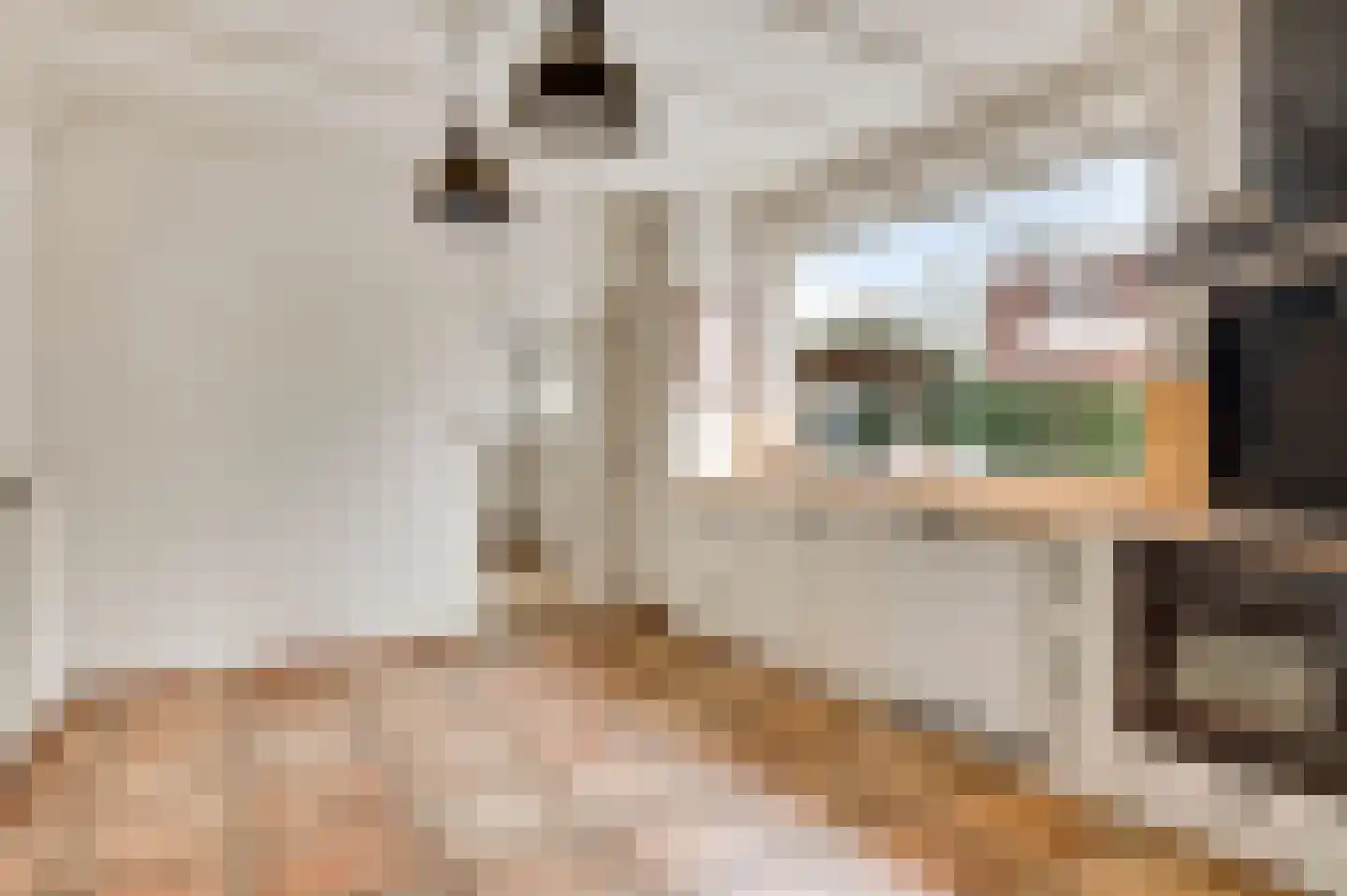Frans Strouxstraat 24 Stramproy thumbnail 15