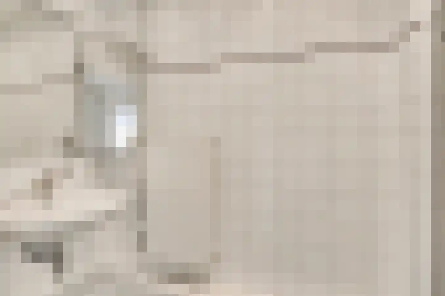 Frans Strouxstraat 24 Stramproy thumbnail 27