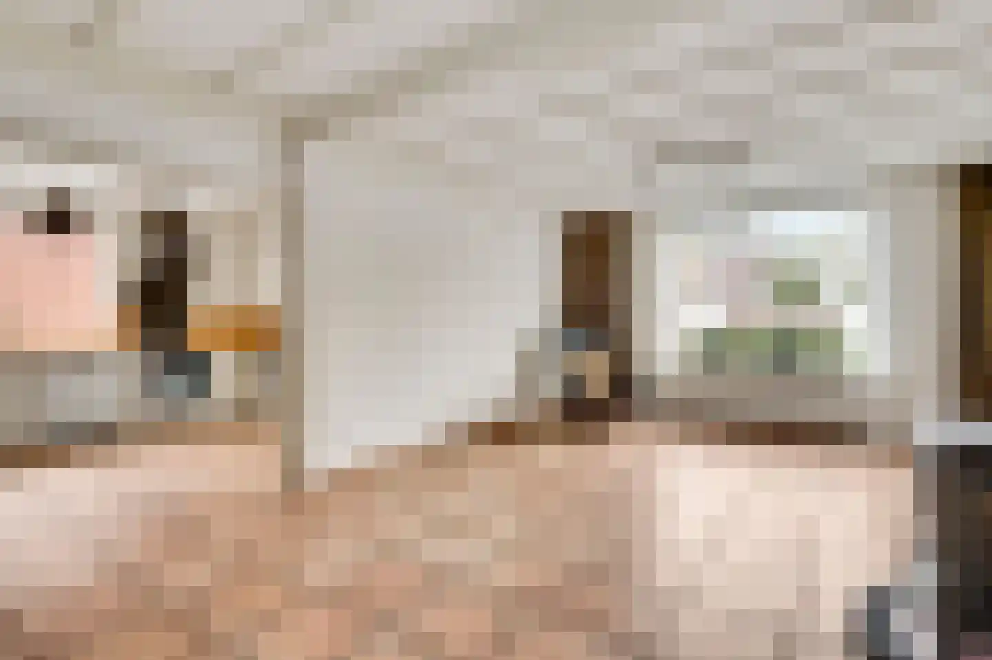 Frans Strouxstraat 24 Stramproy foto 3