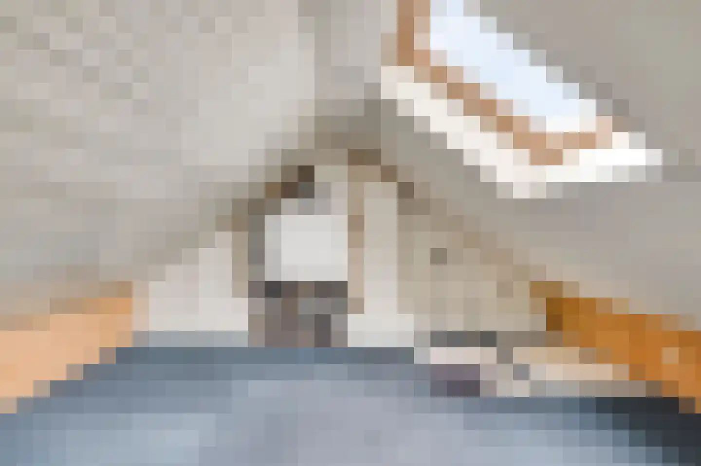 Frans Strouxstraat 24 Stramproy thumbnail 30