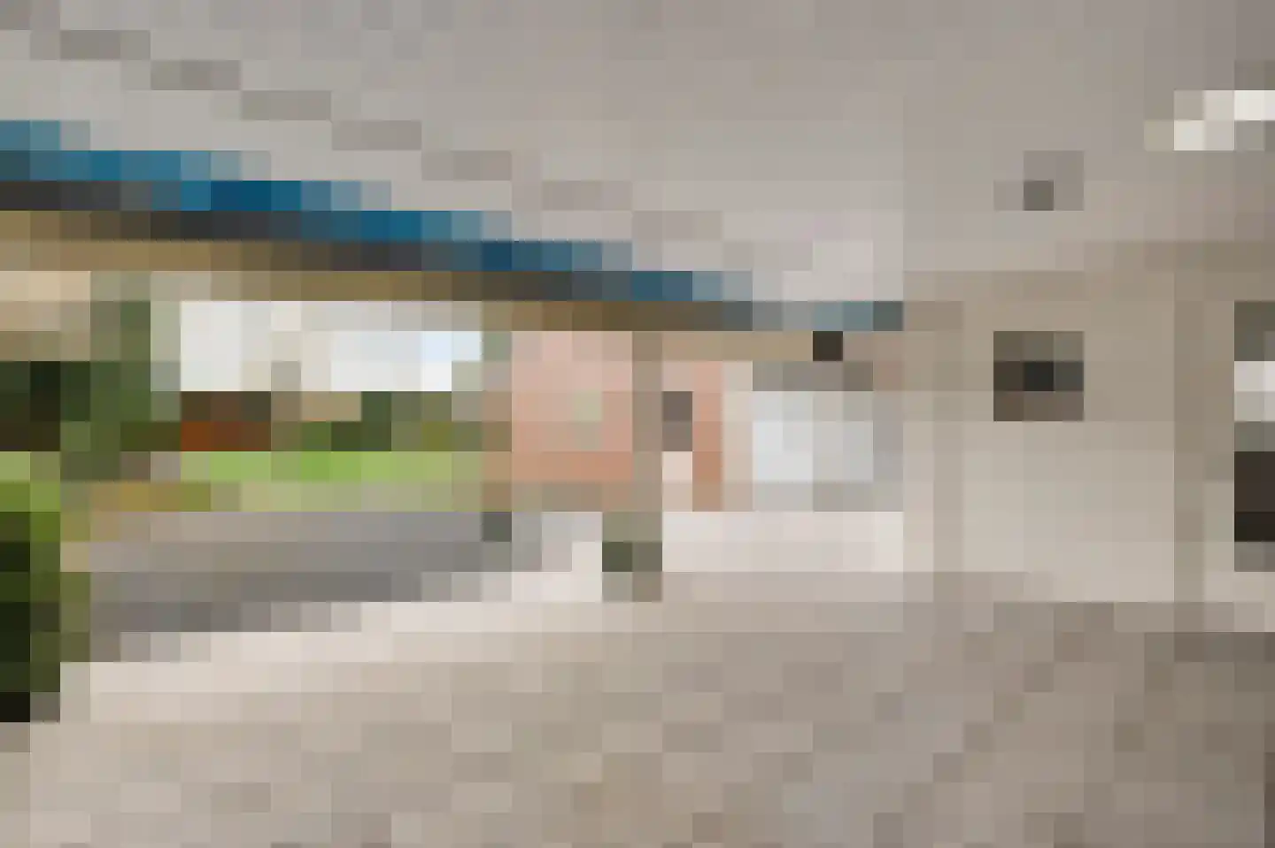 Frans Strouxstraat 24 Stramproy thumbnail 32