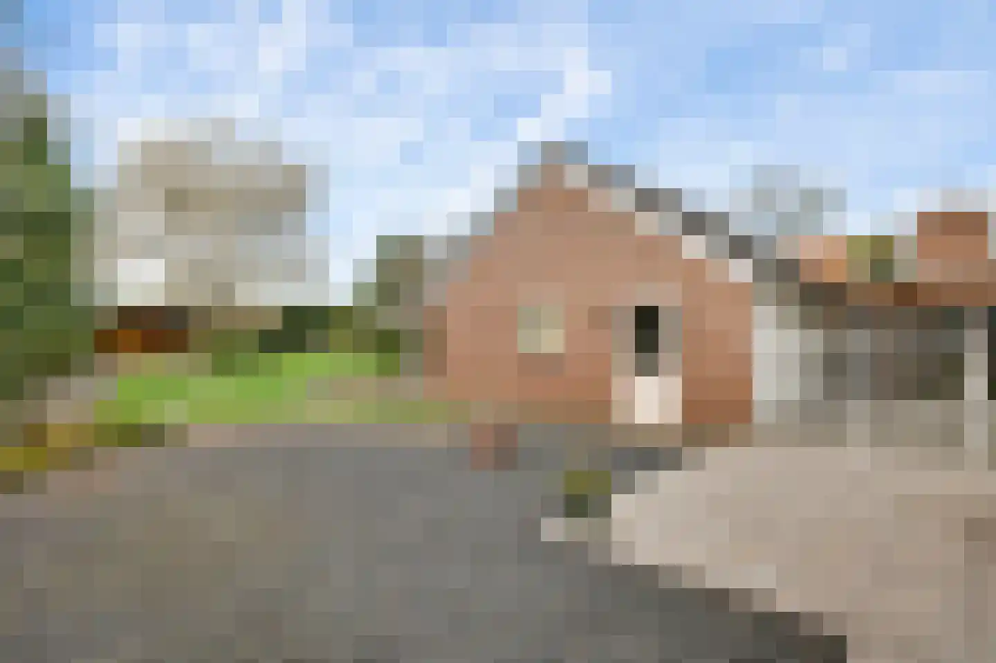 Frans Strouxstraat 24 Stramproy thumbnail 35