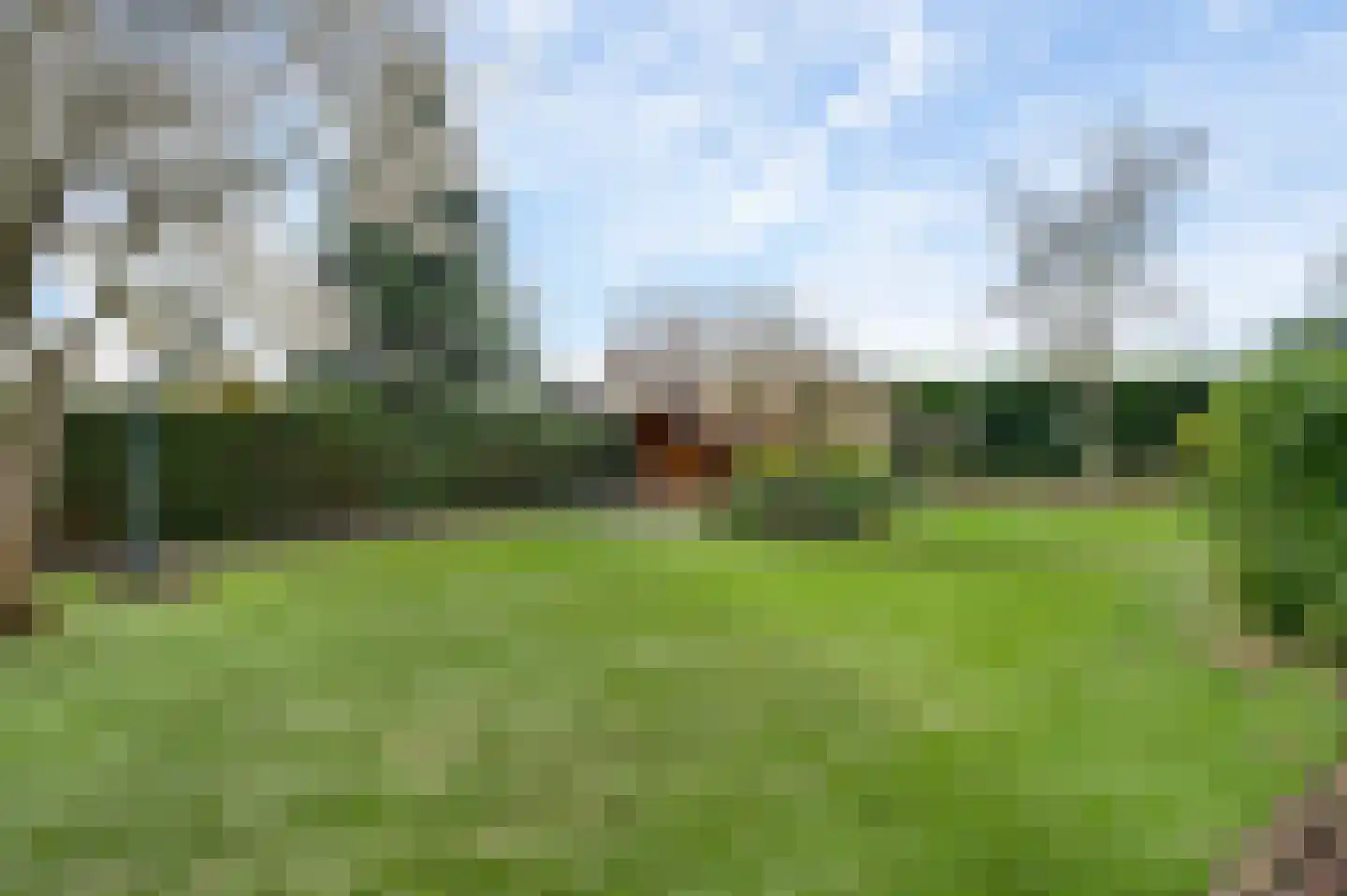 Frans Strouxstraat 24 Stramproy thumbnail 38