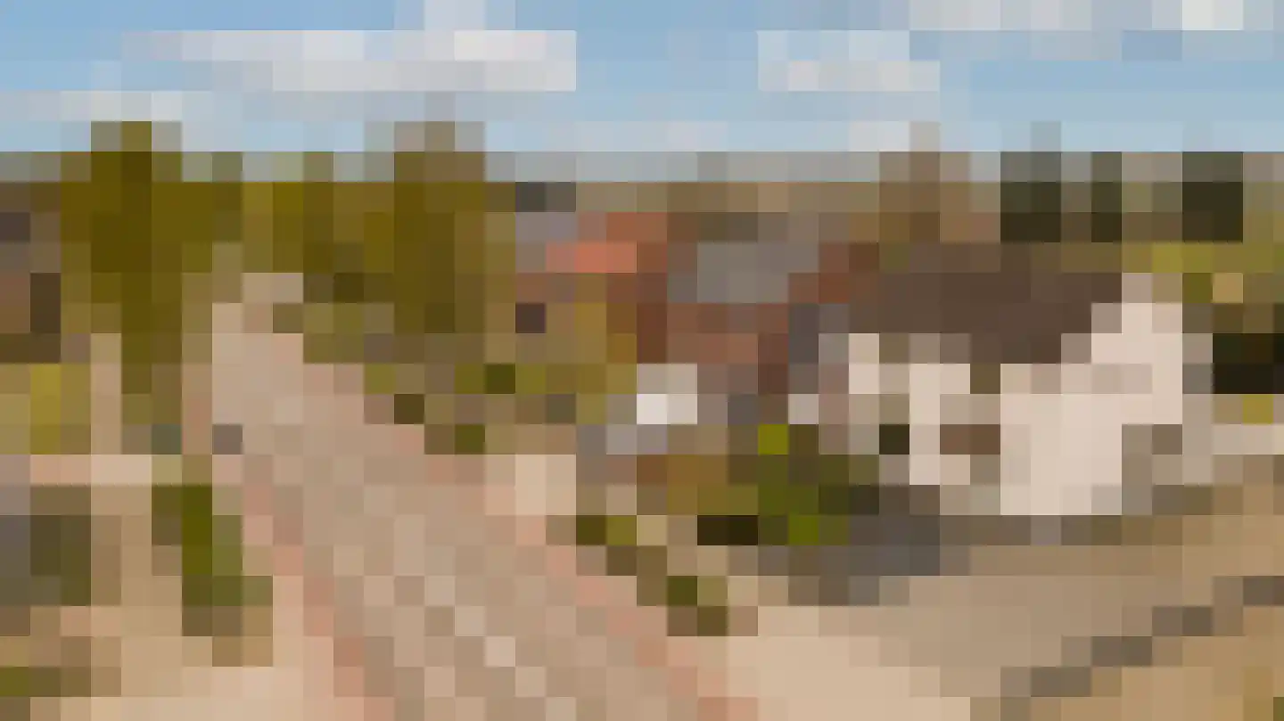 Frans Strouxstraat 24 Stramproy thumbnail 46