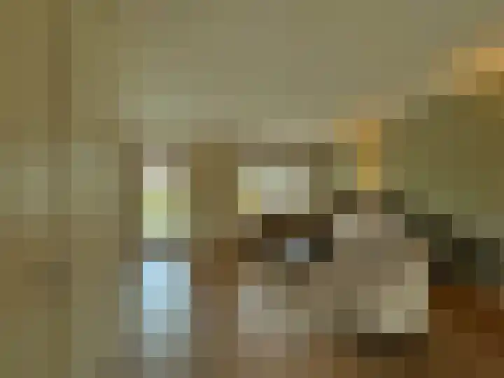Frans Strouxstraat 4 F Stramproy thumbnail 10