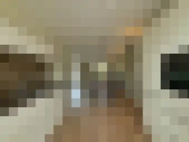 Frans Strouxstraat 4 F Stramproy thumbnail 11