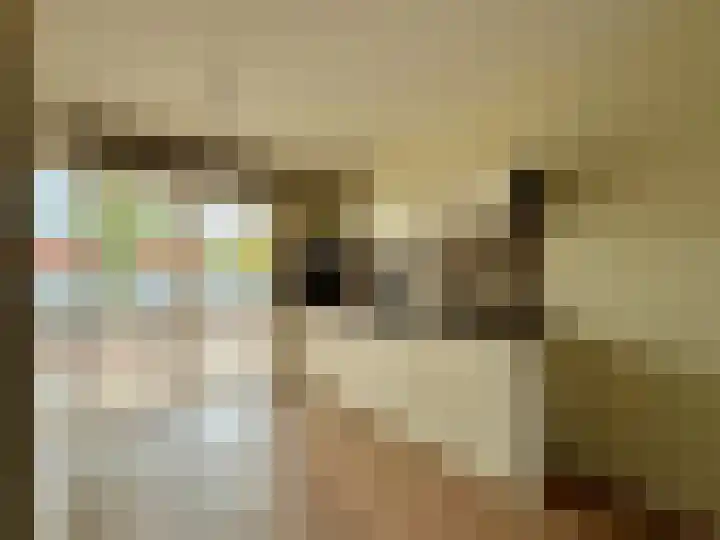 Frans Strouxstraat 4 F Stramproy thumbnail 12