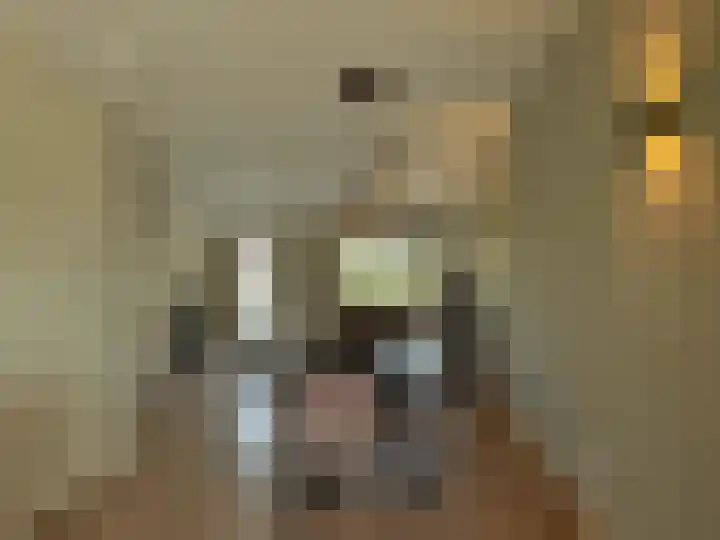 Frans Strouxstraat 4 F Stramproy thumbnail 13