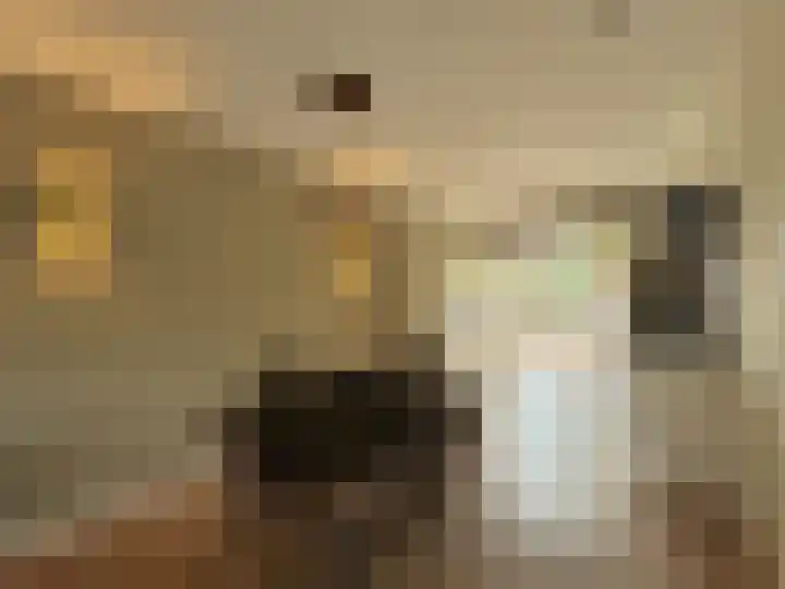 Frans Strouxstraat 4 F Stramproy thumbnail 14