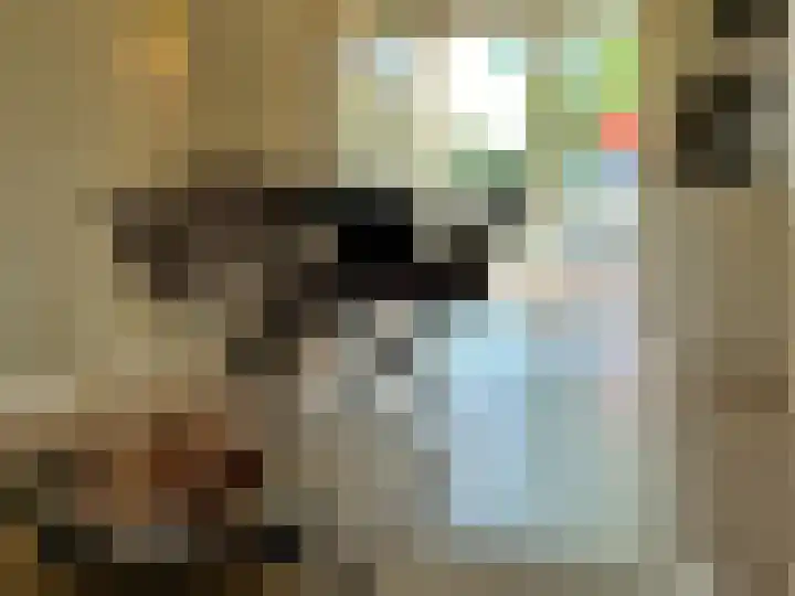 Frans Strouxstraat 4 F Stramproy thumbnail 15