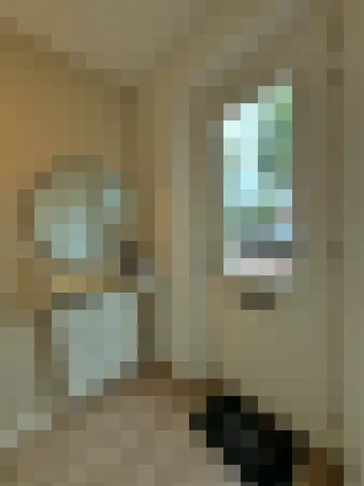 Frans Strouxstraat 4 F Stramproy thumbnail 16