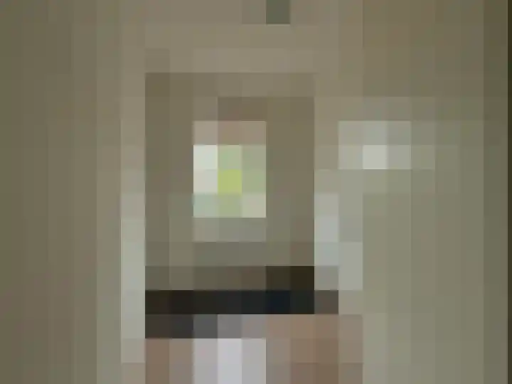 Frans Strouxstraat 4 F Stramproy thumbnail 17