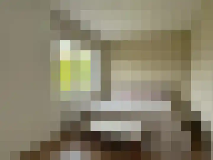 Frans Strouxstraat 4 F Stramproy thumbnail 20