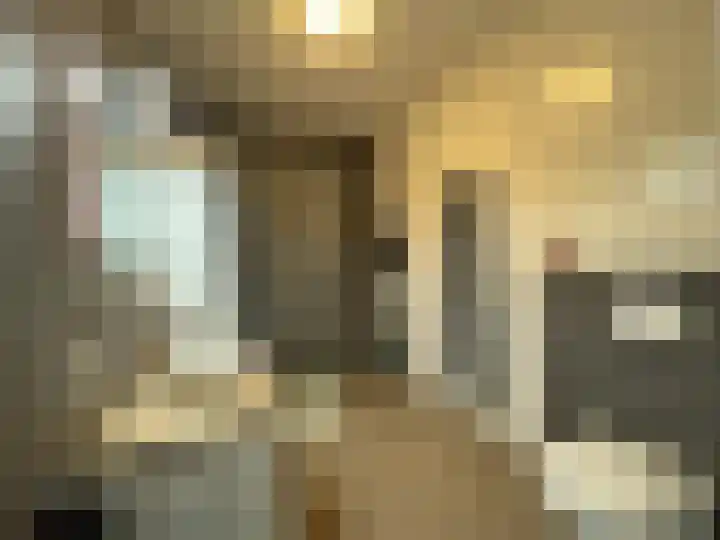 Frans Strouxstraat 4 F Stramproy thumbnail 21
