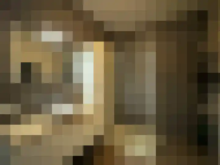 Frans Strouxstraat 4 F Stramproy thumbnail 22