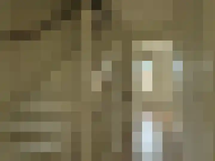 Frans Strouxstraat 4 F Stramproy thumbnail 23