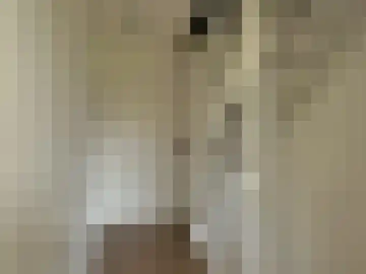 Frans Strouxstraat 4 F Stramproy thumbnail 24