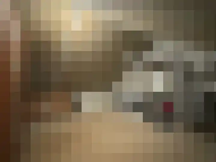 Frans Strouxstraat 4 F Stramproy thumbnail 25