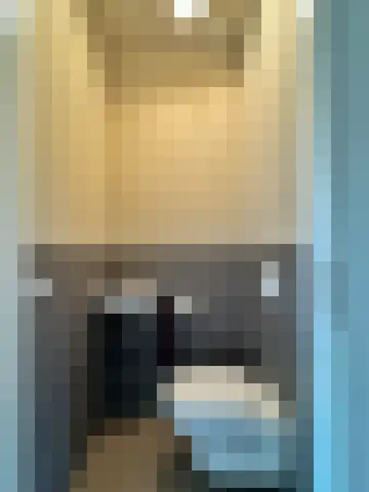 Frans Strouxstraat 4 F Stramproy thumbnail 4
