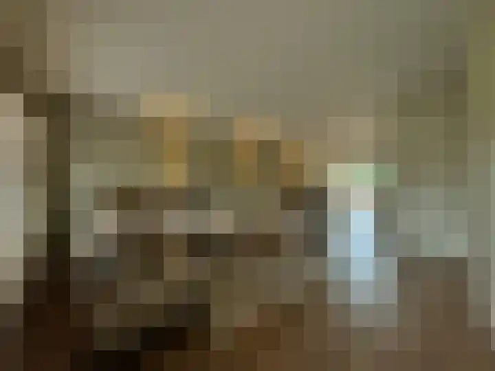 Frans Strouxstraat 4 F Stramproy thumbnail 6