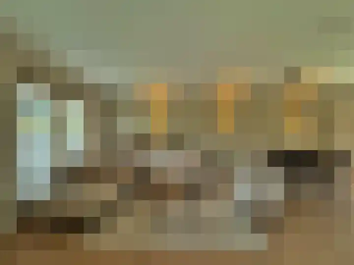 Frans Strouxstraat 4 F Stramproy thumbnail 7