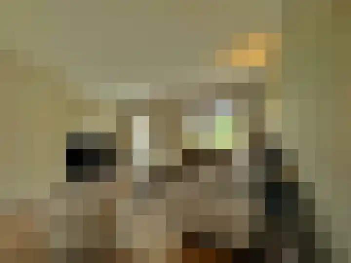 Frans Strouxstraat 4 F Stramproy thumbnail 9
