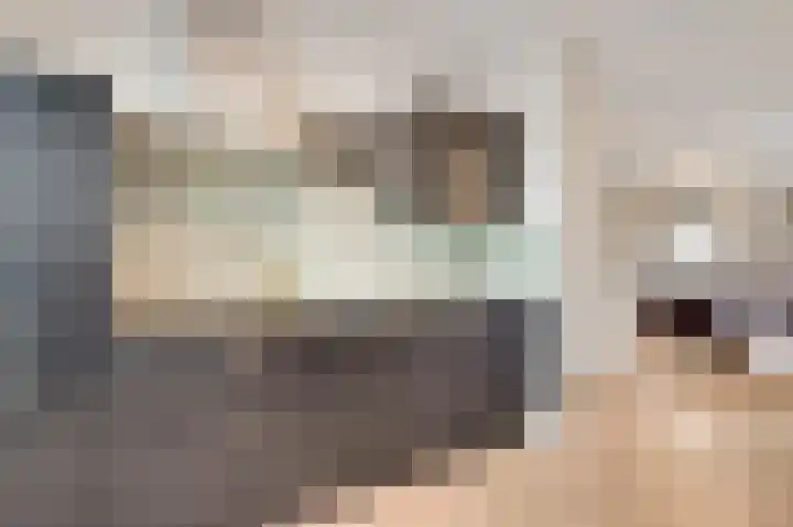 Frans Strouxstraat 4 H Stramproy thumbnail 4