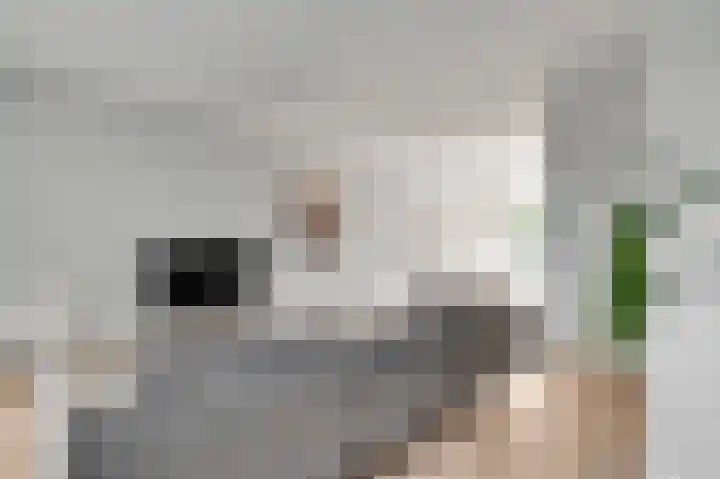 Frans Strouxstraat 4 K Stramproy thumbnail 11