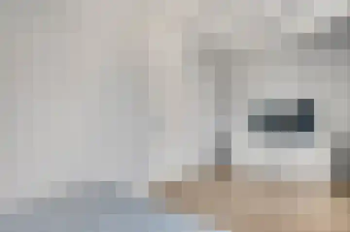 Frans Strouxstraat 4 K Stramproy thumbnail 18