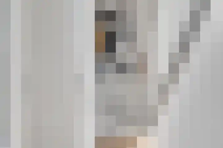 Frans Strouxstraat 4 K Stramproy thumbnail 8