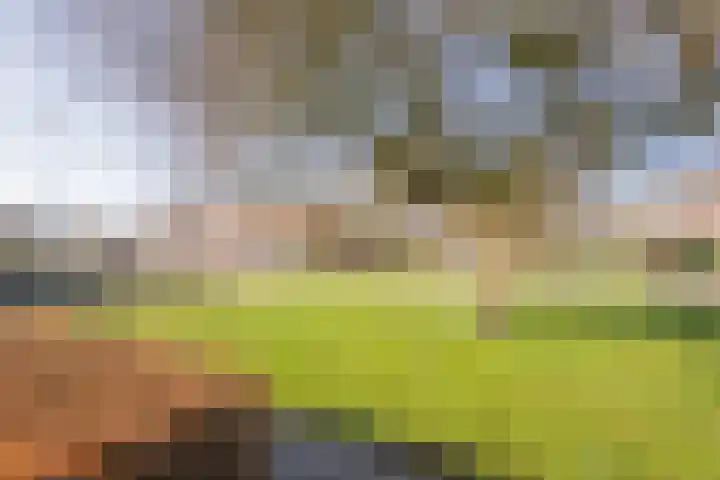 Frans Tromplaan 19 Hoevelaken thumbnail 38